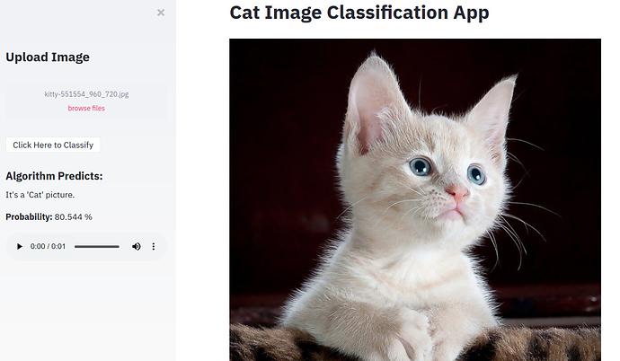 Image Classification Project